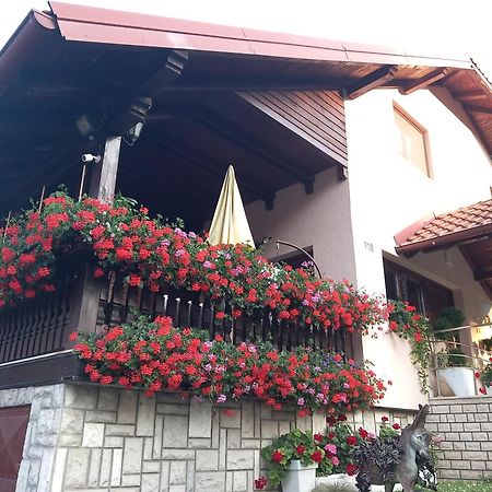 Apartment Vihor ซลาตีบอร์ ภายนอก รูปภาพ
